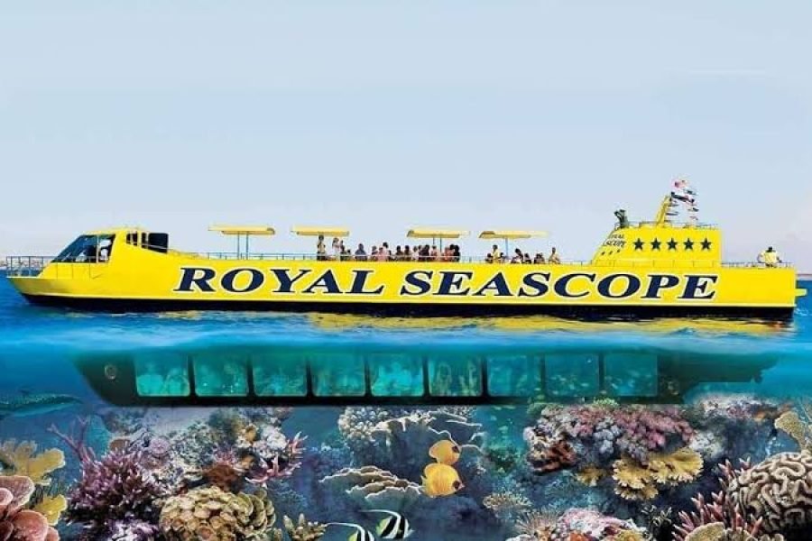 Dahab Submarine Tour | Red Sea Coral Reefs & Marine Life