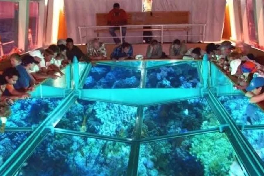 Glass Bottom Boat Dahab