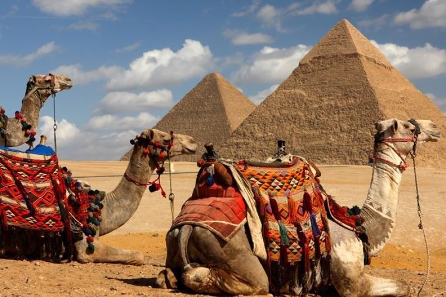 Gízai piramisok és Nagy Egyiptomi Múzeum El Alameinből | Privát Kairó-túra