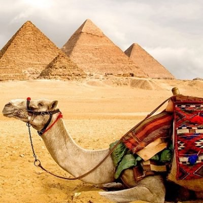 Cairo Tours from Dahab