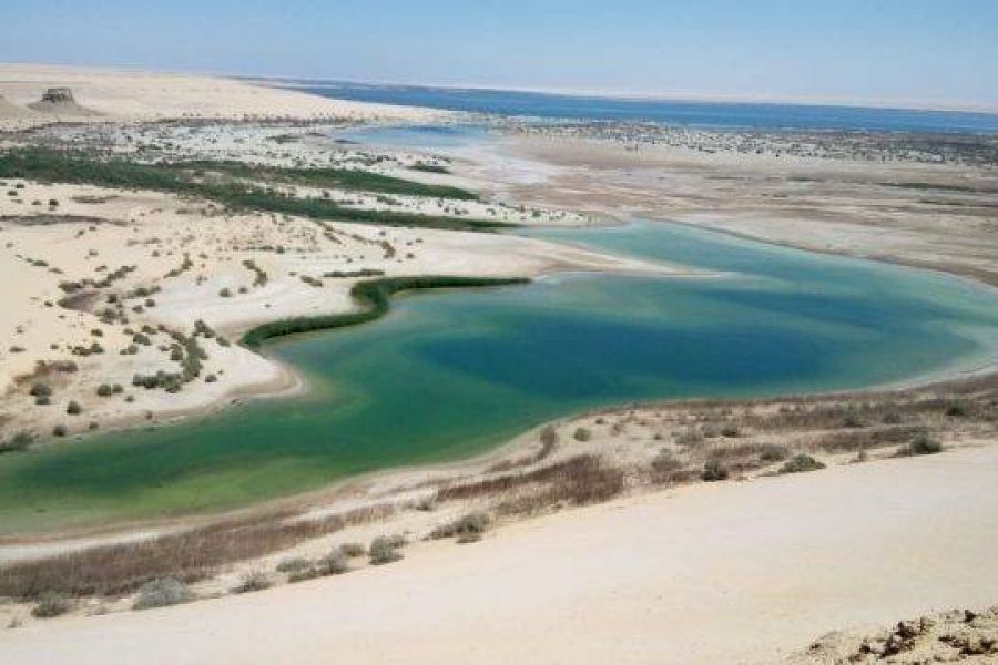 White Desert & Wadi El Hitan from Cairo | 3 Days