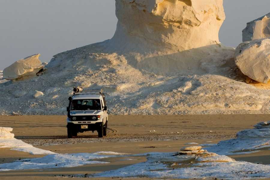 White desert tours from Luxor