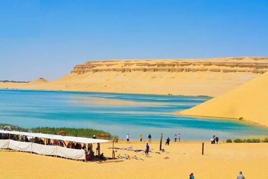 Fayoum Oasis day tour from Cairo