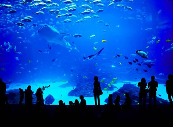 Family-Friendly Tours from Sahl Hasheesh
