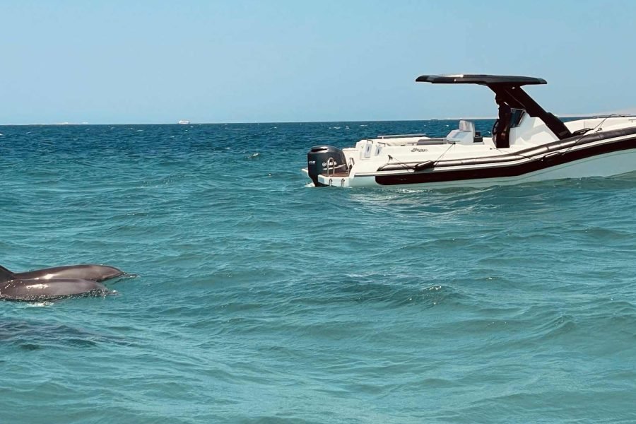 Speedboats trips from Sahel Hashesh