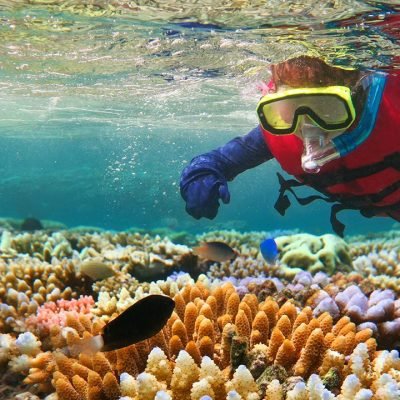 Snorkeling Trips from Safaga