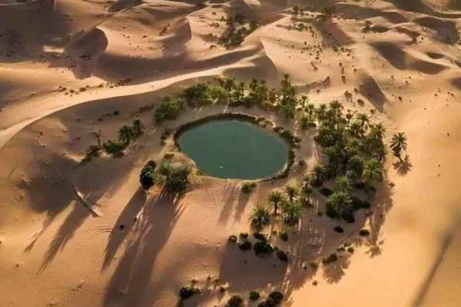 3-Day White Desert & Bahariya Oasis Tour from Cairo