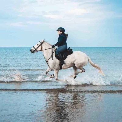 Family-Friendly Tours from Safaga