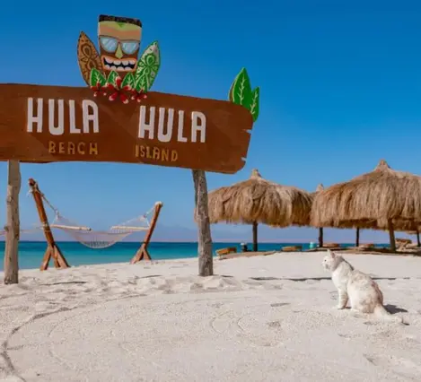 Hurghada Hula Hula Island Boat Trip with Snorkeling