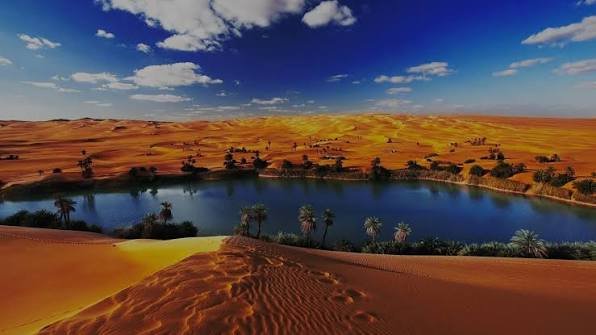 Fayoum Trips from Cairo