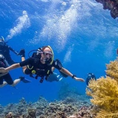 Snorkeling & Diving Trips from Hurghada