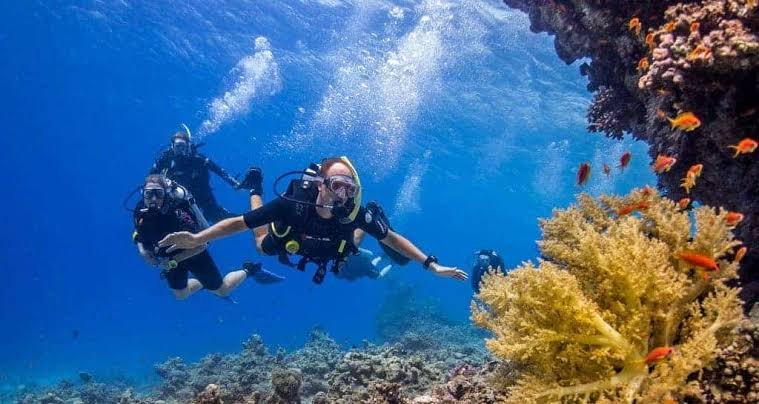 Snorkeling & Diving Trips from Hurghada