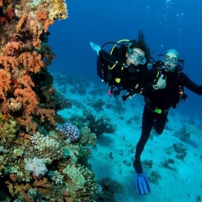 Diving Tours from Dahab