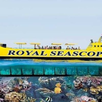 Glass Boat & Sea Scope Tours from Dahab