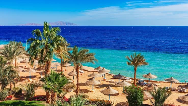 Marsa Alam Travel Guide