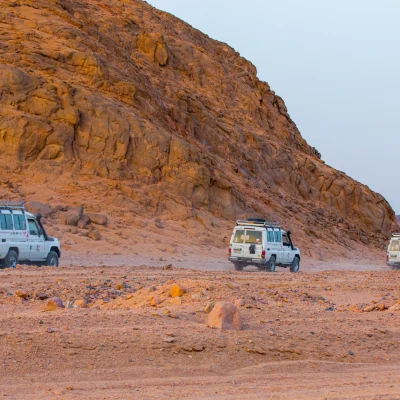 Desert Safari Tours from Soma Bay