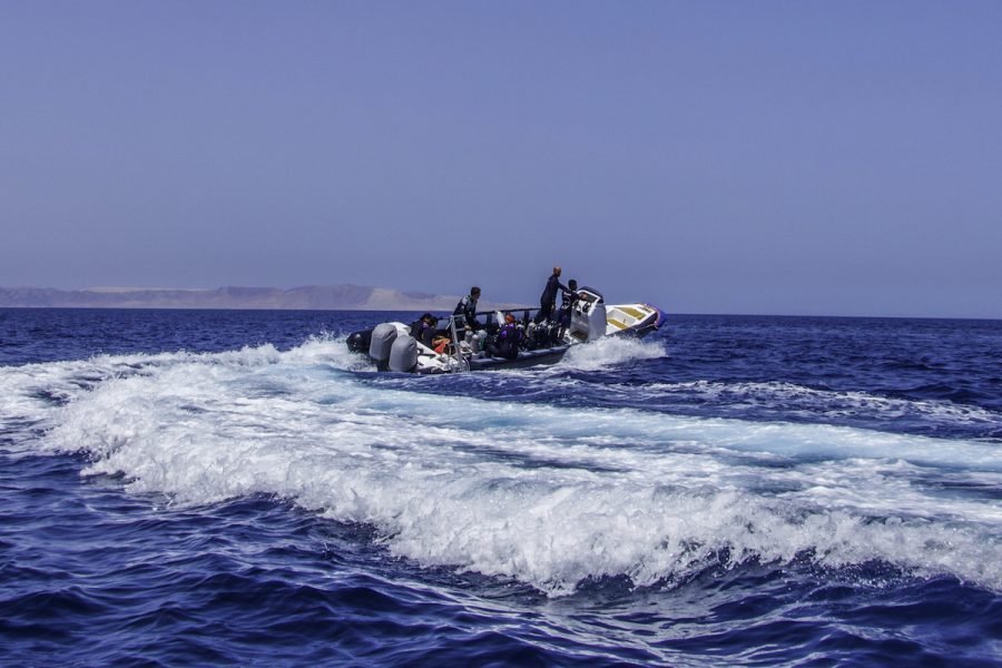 Speedboats trips from Soma Bay