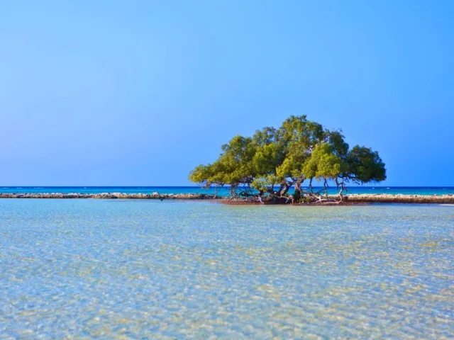 Pláž u Marsa Alam s bílým pískem